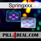 Springxxx 37